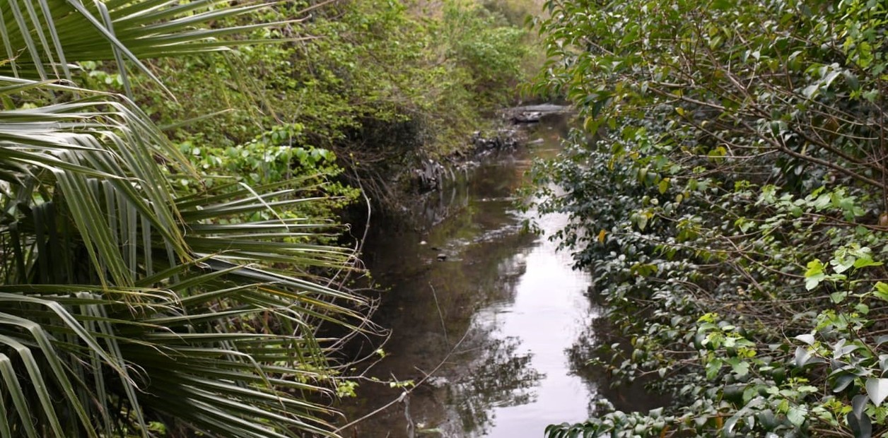 Ciencia y relax: reservas naturales en el Conurbano oeste