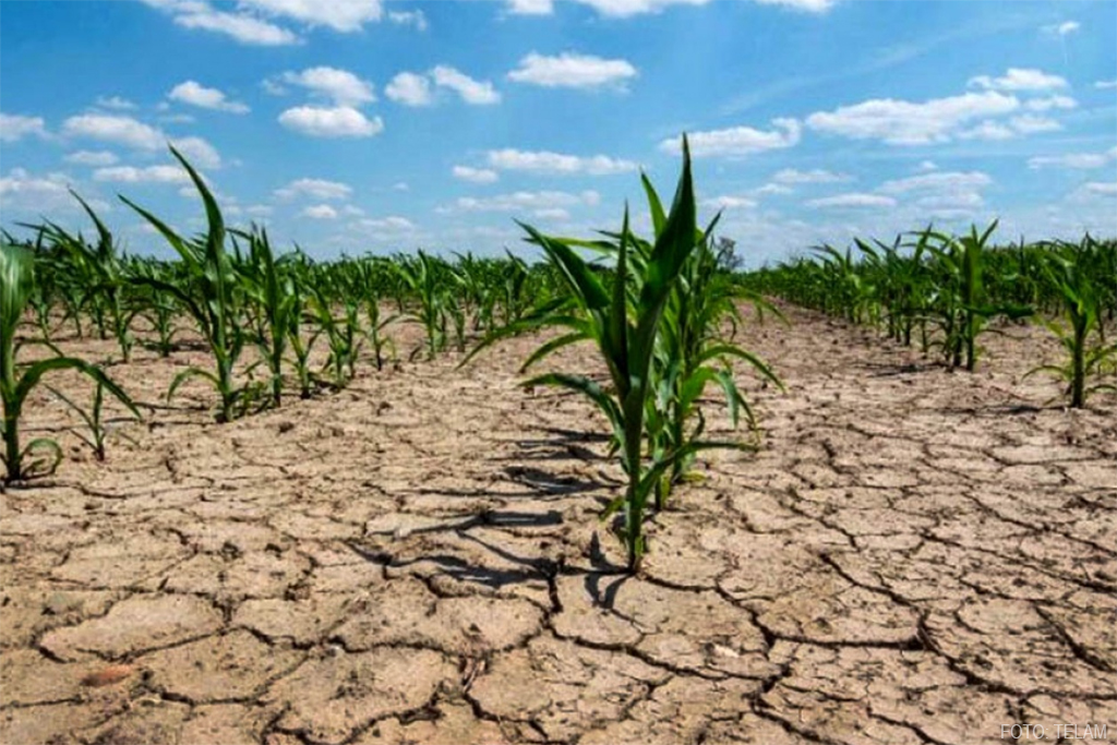 Día Internacional contra el Cambio Climático: Argentina en el ojo de la tormenta