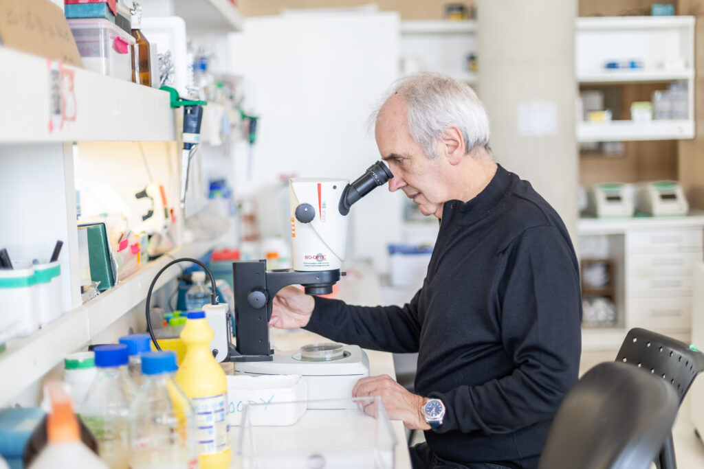 “Hay un aniquilamiento del sistema de ciencia”